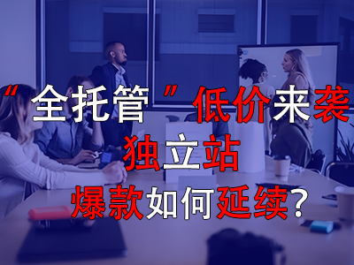 全托管低價來襲，獨立站爆款如何延續(xù)？